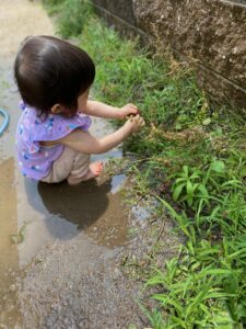 【ひよこ組　雨上がりのどろんこ遊び】