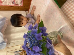 あじさい